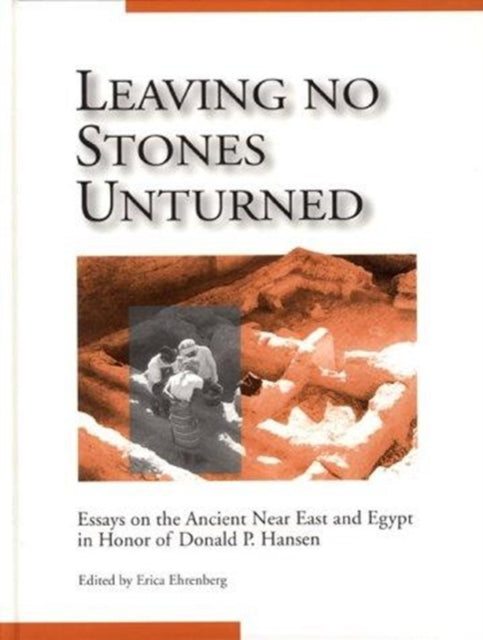 Book cover of: Leaving No Stones Unturned. By: Erica Ehrenberg