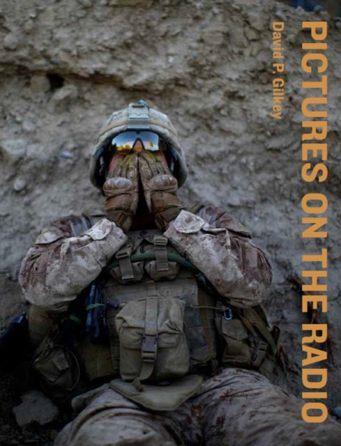Book cover of: Pictures on the Radio: From The Frontlines of History with NPR News. By: Chip Somodevilla