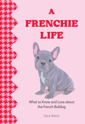 Frenchie Life, What to Know and Love about the French Bulldog