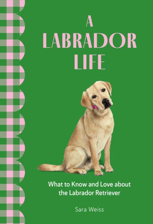 Labrador Life, What to Know and Love About the Labrador Retriever