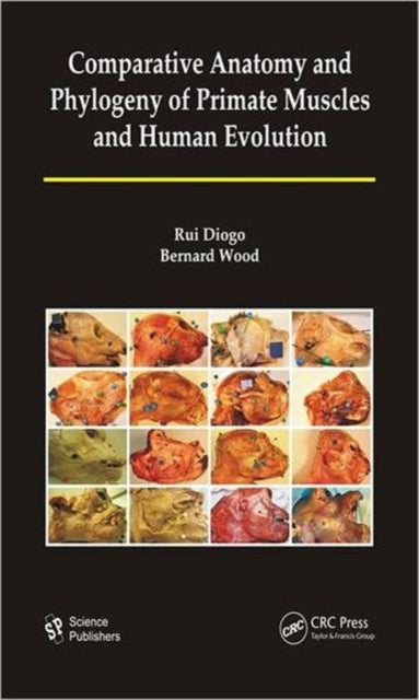 Book cover of: Comparative Anatomy and Phylogeny of Primate Muscles and Human Evolution. By: Rui Diogo
