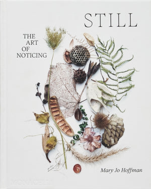 STILL, The Art of Noticing