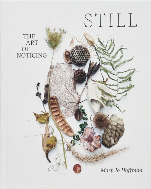 STILL, The Art of Noticing 9781580936330 Mary Jo Hoffman
