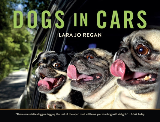 Book cover of: Dogs in Cars. By: Lara Jo Regan