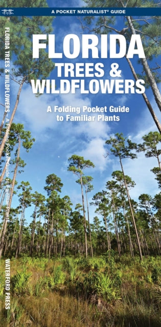 Book cover of: Florida Trees & Wildflowers. By: James Kavanagh
