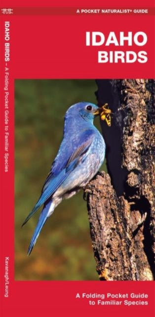 Book cover of: Idaho Birds. By: James Kavanagh