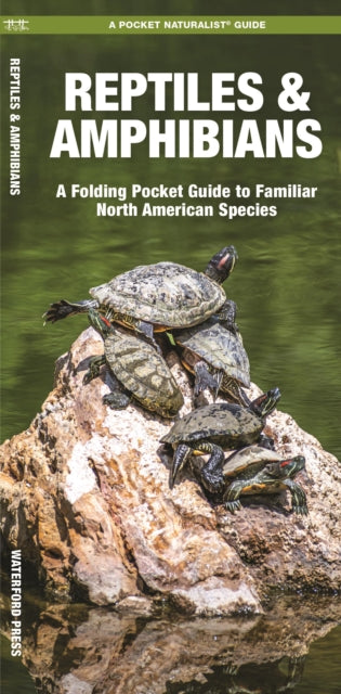 Book cover of: Reptiles & Amphibians. By: James Kavanagh