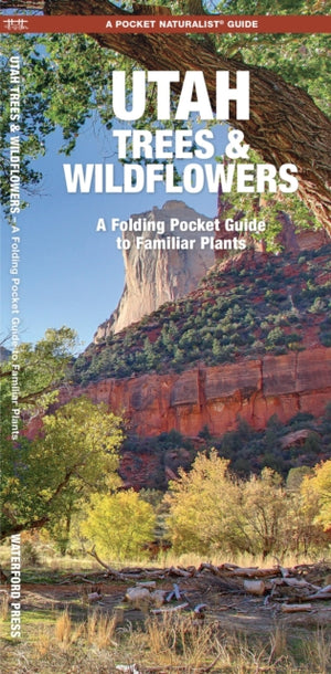 Utah Trees & Wildflowers