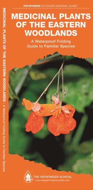Book cover of: Medicinal Plants of the Eastern Woodlands