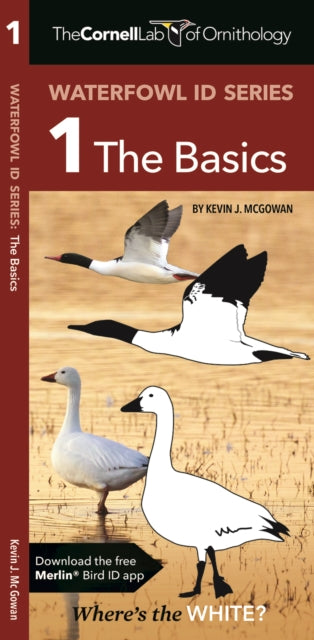 Book cover of: Cornell Lab of Ornithology Waterfowl ID 1 The Basics. By: Kevin J. McGowan