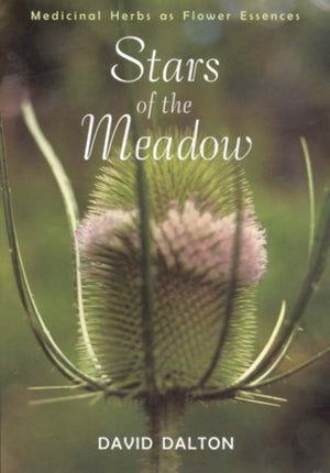 Stars of the Meadow