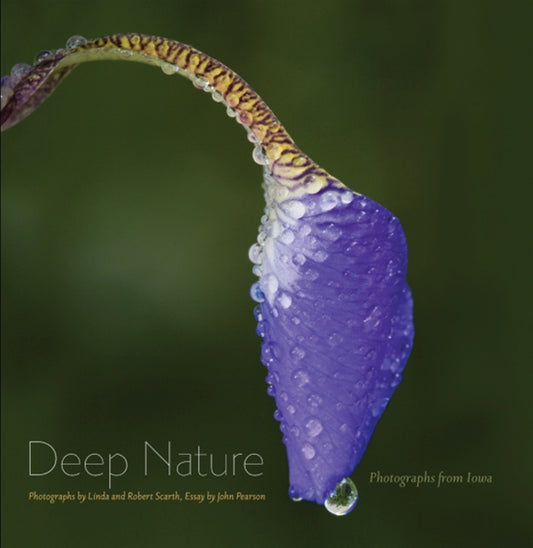 Book cover of: Deep Nature. By: Linda Scarth
