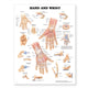 Book cover of: Hand and Wrist Anatomical Chart