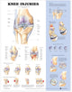 Book cover of: Knee Injuries Anatomical Chart. By: Anatomical Chart Company