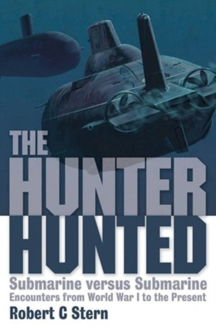 Book cover of: Hunter Hunted. By: Robert C. Stern