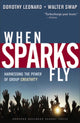 Book cover of: When Sparks Fly. By: Dorothy Leonard-Barton