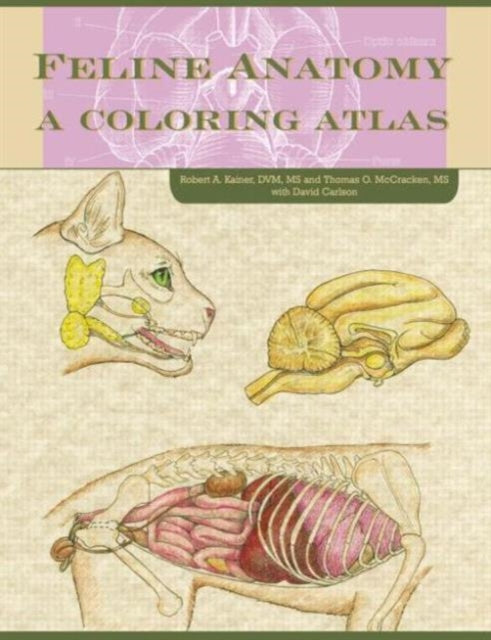 Book cover of: Feline Anatomy. By: Thomas O. McCraken