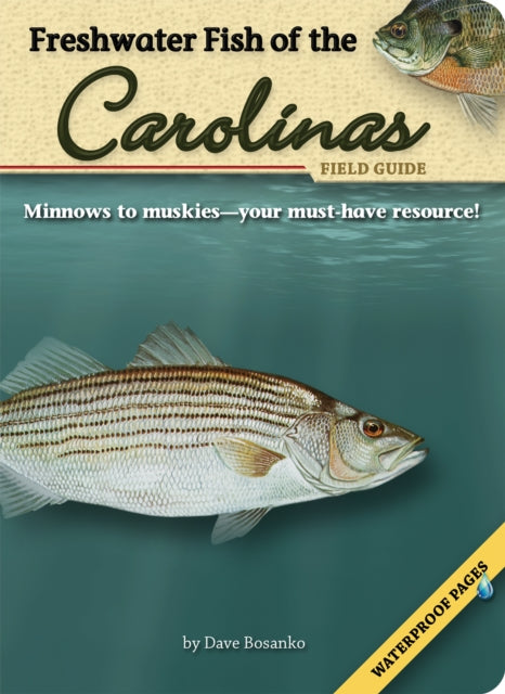 Book cover of: Freshwater Fish of the Carolinas Field Guide. By: Dave Bosanko