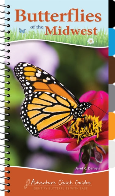 Book cover of: Butterflies of the Midwest. By: Jaret C. Daniels