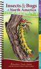 Book cover of: Insects & Bugs of North America. By: Jaret C. Daniels