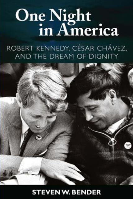 Book cover of: One Night in America. By: Steven Bender