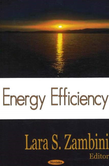 Book cover of: Energy Efficiency. By: Lara S. Zambini