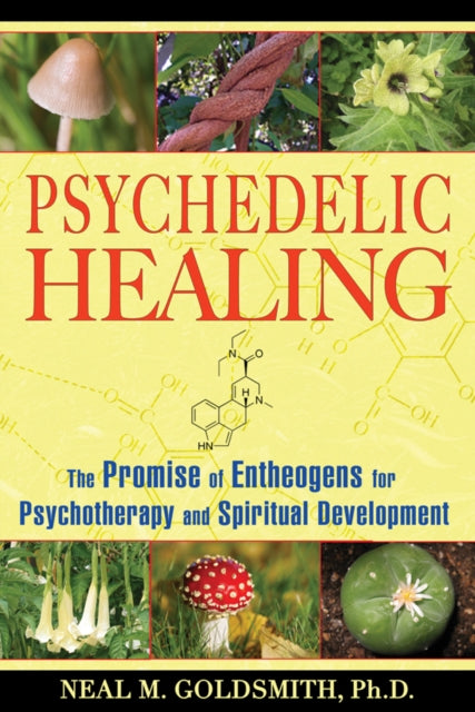 Book cover of: Psychedelic Healing