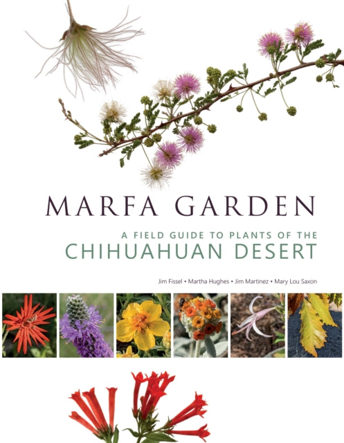 Book cover of: Marfa Garden. By: Jim Martinez