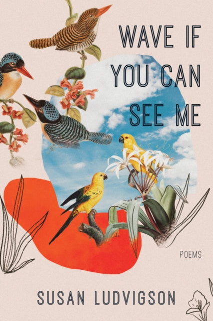 Book cover of: Wave If You Can See Me. By: Susan Ludvigson