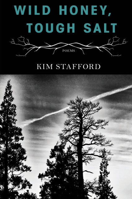 Book cover of: Wild Honey, Tough Salt. By: Kim Stafford
