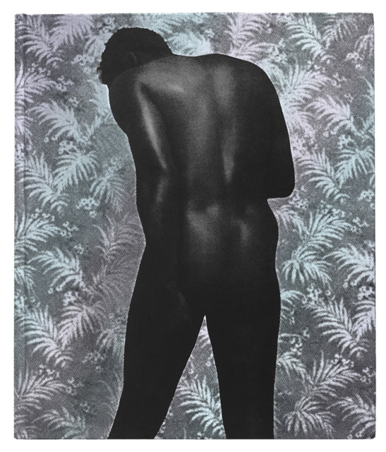 Book cover of: Ming Smith: An Aperture Monograph. By: Ming Smith