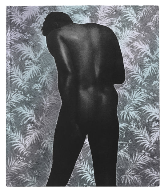 Book cover of: Ming Smith: An Aperture Monograph. By: Ming Smith