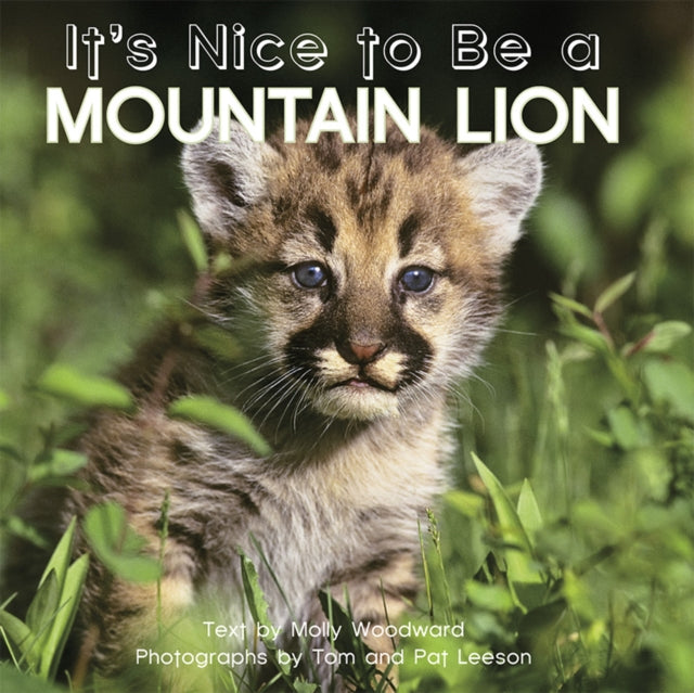 Book cover of: It's Nice to Be a Mountain Lion. By: Molly Woodward