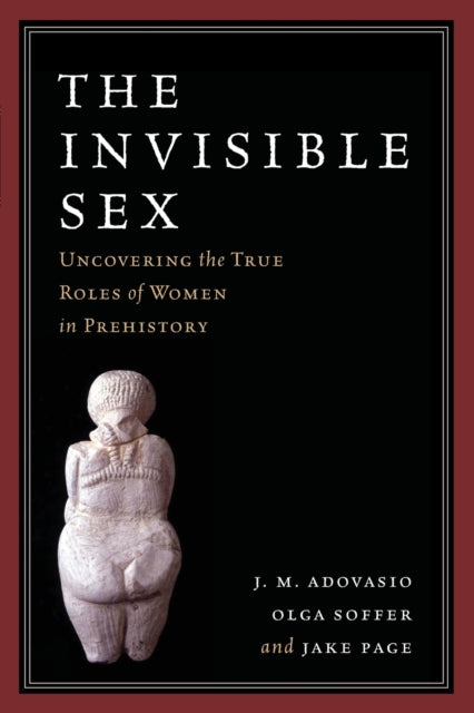 Book cover of: Invisible Sex. By: J. M. Adovasio