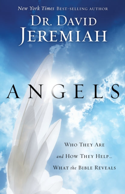 Book cover of: Angels