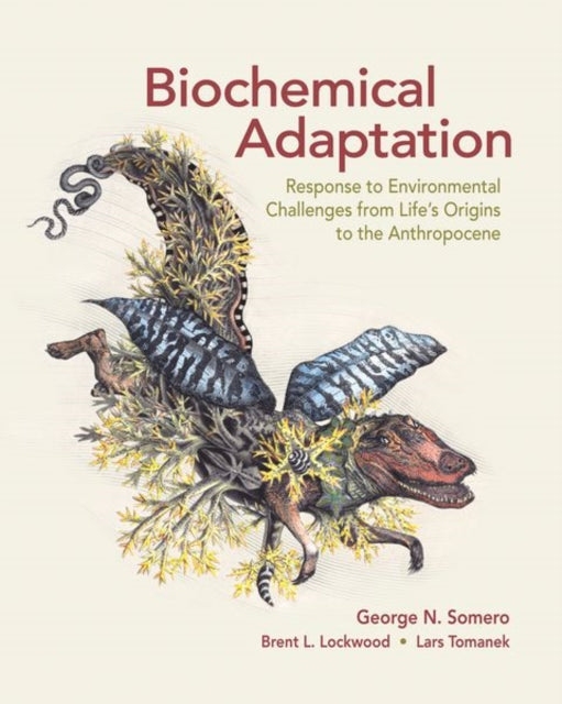 Book cover of: Biochemical Adaptation. By: George N. Somero
