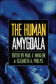 Book cover of: Human Amygdala