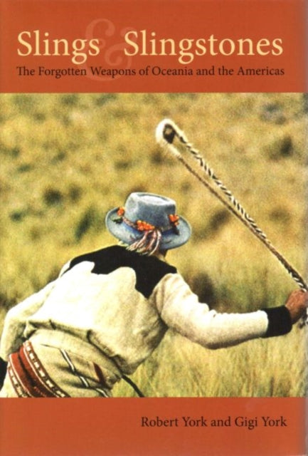 Book cover of: Slings and Slingstones. By: Ampleman, Lisa 1979-