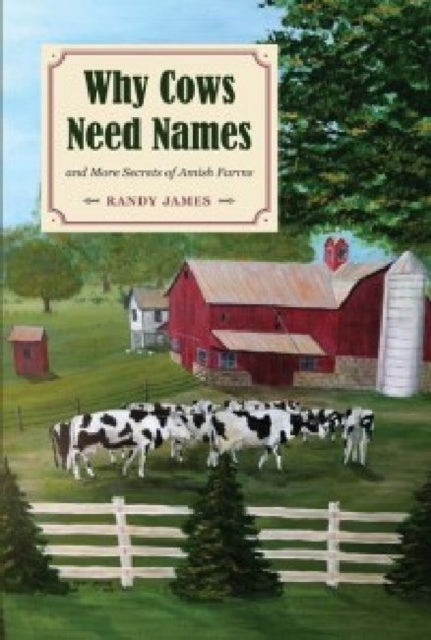 Book cover of: Why Cows Need Names And More Secrets of Amish Farms