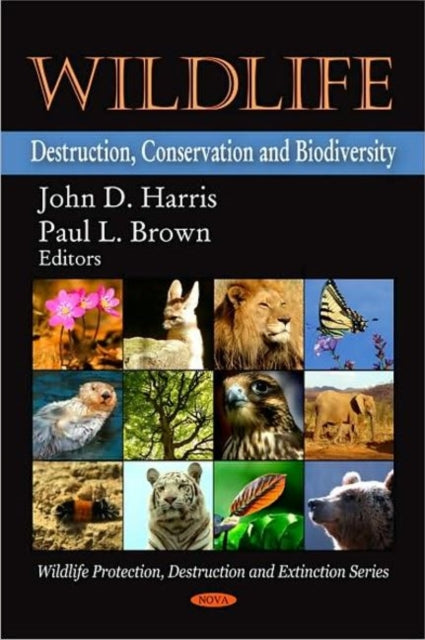 Book cover of: Wildlife