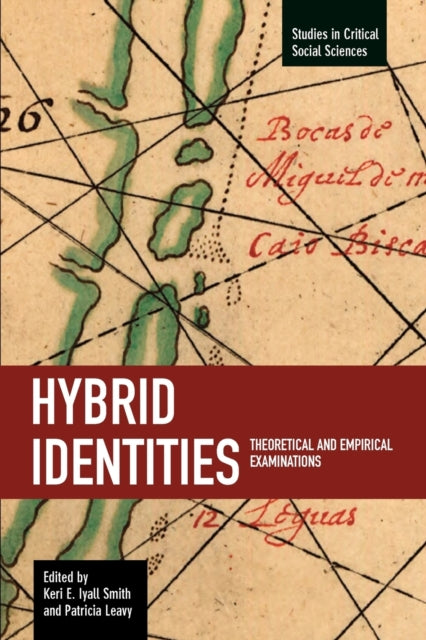 Book cover of: Hybrid Identities: Theoretical And Empirical Examinations. By: Keri E. Iyall Smith