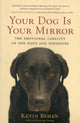 Your Dog Is Your Mirror