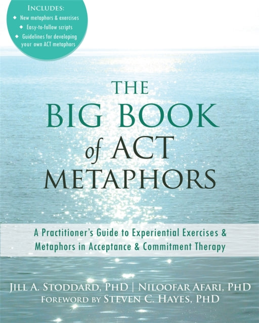 Book cover of: Big Book of ACT Metaphors