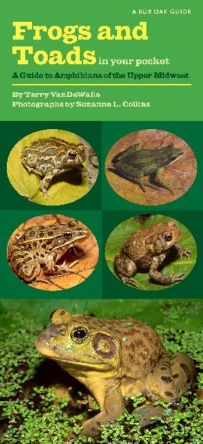 Frogs and Toads in Your Pocket