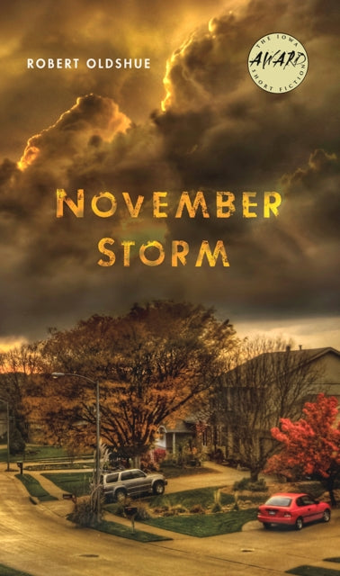 Book cover of: November Storm. By: Robert Oldshue