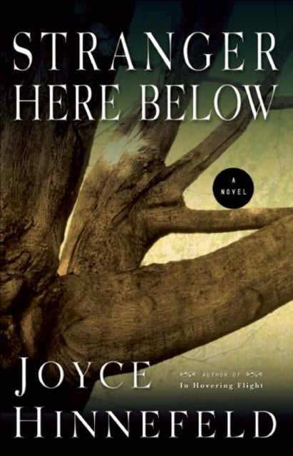 Book cover of: Stranger Here Below