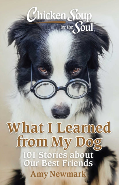 Book cover of: Chicken Soup for the Soul: What I Learned from My Dog. By: Amy Newmark