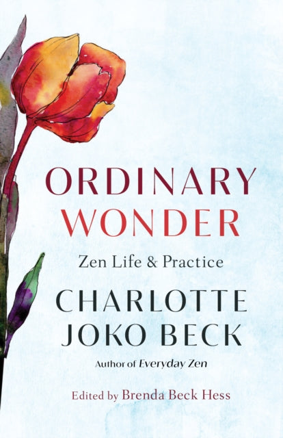 Ordinary Wonder, Zen Life and Practice 9781611808773 Charlotte Joko Beck