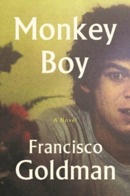 Book cover of: Monkey Boy. By: Francisco Goldman