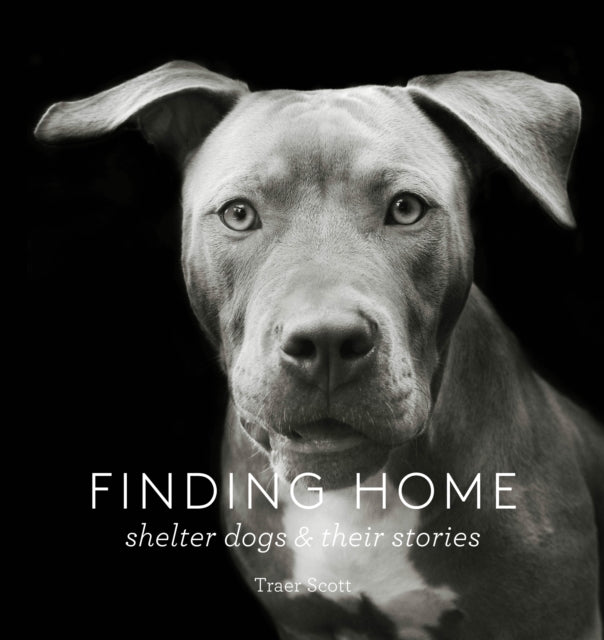 Book cover of: Finding Home. By: Traer Scott